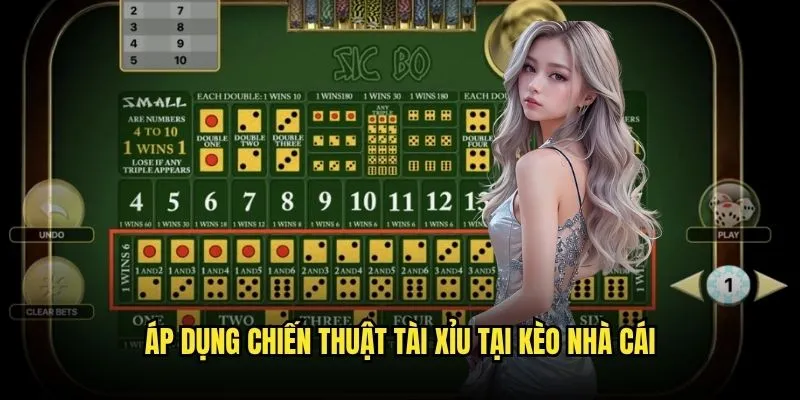 Chiến Thuật Tài Xỉu - Bí Kíp Thắng Lớn Từ Chuyên Gia 3 Áp dụng chiến thuật tài xỉu tại Kèo Nhà Cái