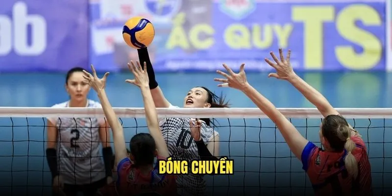 Đặt Cược Bóng Chuyền Quốc Tế Tại Kèo Nhà Cái 1 Bóng chuyền