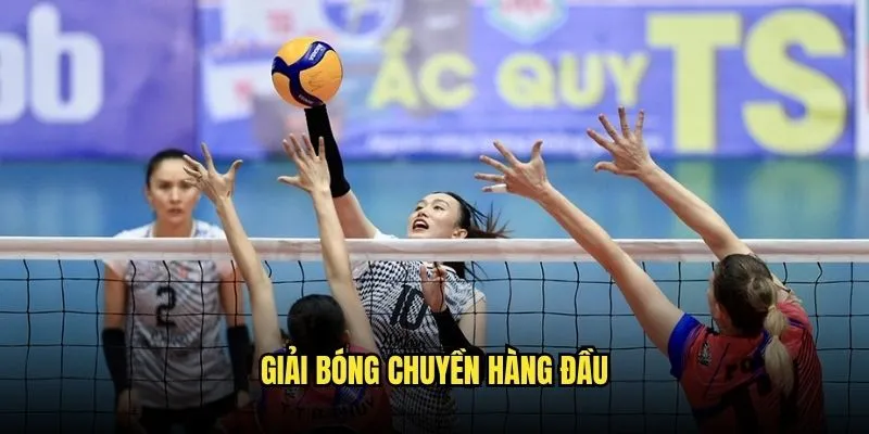 Đặt Cược Bóng Chuyền Quốc Tế Tại Kèo Nhà Cái 2 Giải Bóng Chuyền Hàng Đầu