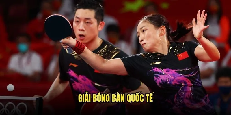 Cá Cược Bóng Bàn Châu Á Tại Kèo Nhà Cái 2 Giải Bóng Bàn Quốc Tế