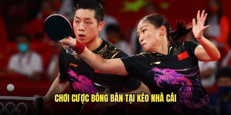 Cá Cược Bóng Bàn Châu Á Tại Kèo Nhà Cái 3 Chơi Cược Bóng Bàn Tại Kèo Nhà Cái