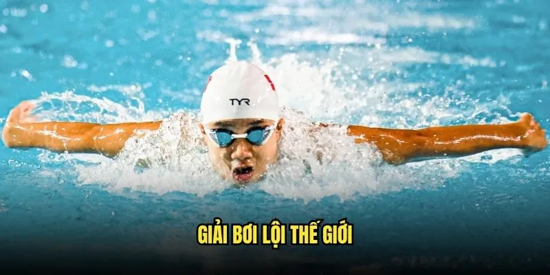Cược Bơi Lội Olympic Và World Championships Tại Kèo Nhà Cái 2 Giải Bơi Lội Thế Giới