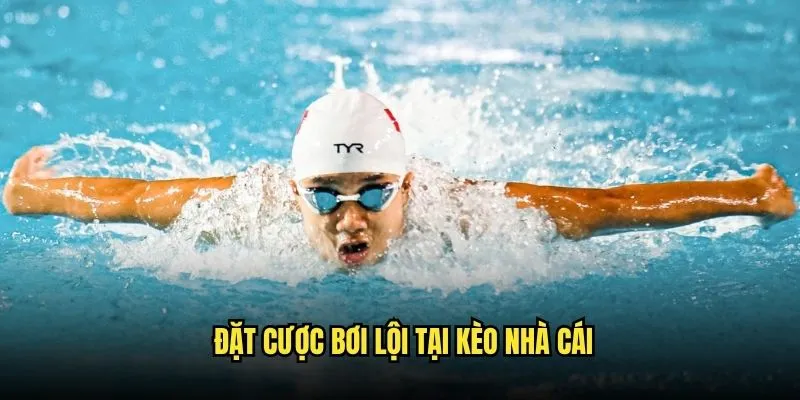 Cược Bơi Lội Olympic Và World Championships Tại Kèo Nhà Cái 3 Đặt Cược Bơi Lội Tại Kèo Nhà Cái