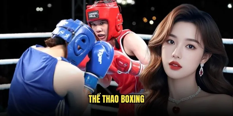 Thể thao Boxing