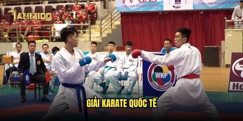 Đặt Cược Karate Đấu Võ Olympic Và Thế Giới Tại Kèo Nhà Cái 2 Giải Karate Quốc Tế