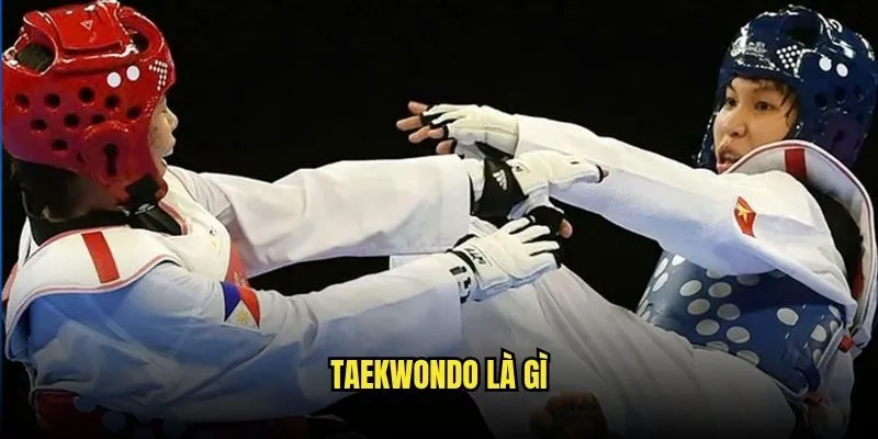 Taekwondo là gì