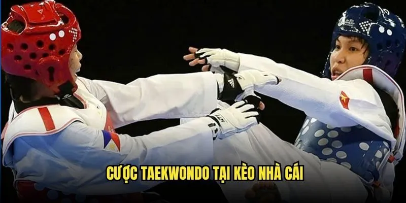 Taekwondo Là Gì? Tìm Hiểu Cách Cá Cược Tại Kèo Nhà Cái 3 Cược Taekwondo Tại Kèo Nhà Cái