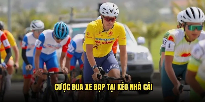 Cá Cược Đua Xe Đạp Tour de France Tại Kèo Nhà Cái 3 Cược Đua Xe Đạp Tại Kèo Nhà Cái