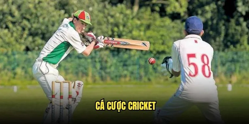 Cá cược Cricket
