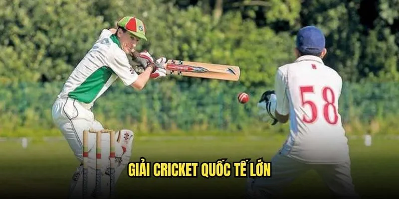 Cá Cược Cricket IPL Và World Cup Tại Kèo Nhà Cái 2 Giải Cricket Quốc Tế Lớn