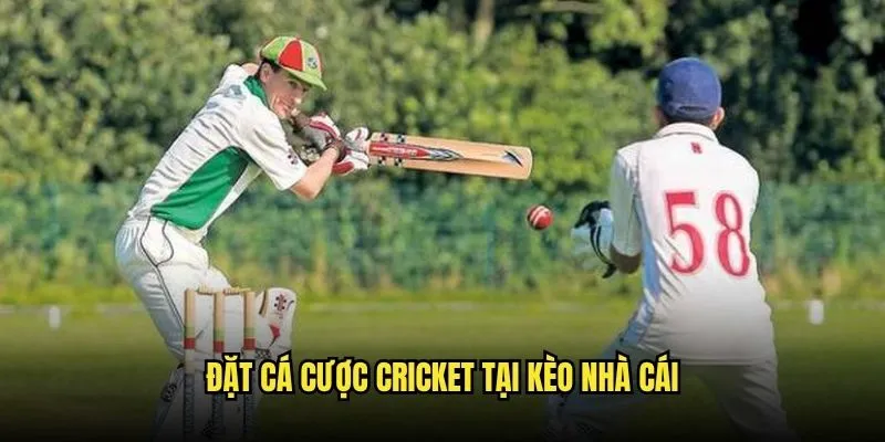 Cá Cược Cricket IPL Và World Cup Tại Kèo Nhà Cái 3 Đặt Cá Cược Cricket Tại Kèo Nhà Cái