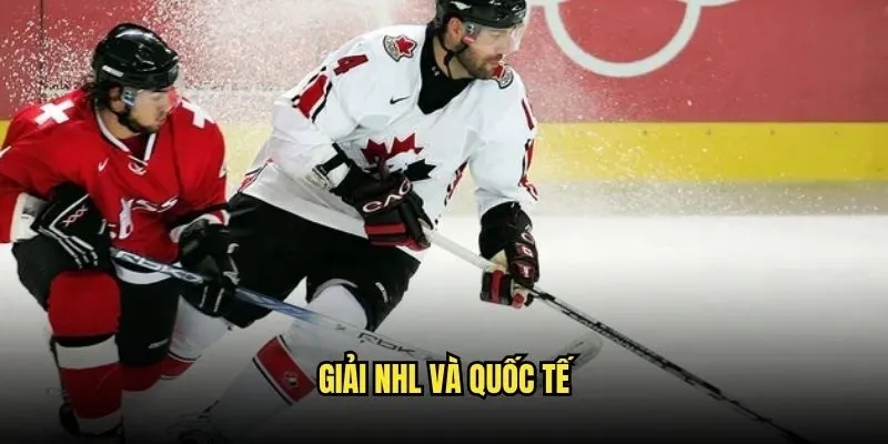Cược Khúc Côn Cầu Trên Băng Tại Kèo Nhà Cái 2 Giải NHL Và Quốc Tế
