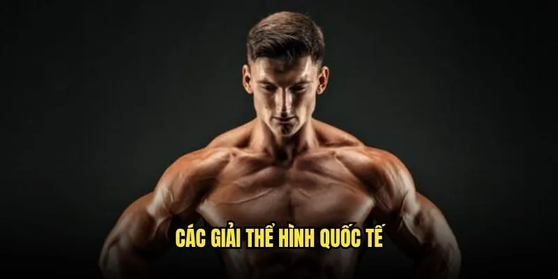 Đặt Cược Thể Hình Mr. Olympia Đỉnh Cao Tại Kèo Nhà Cái 2 Các Giải Thể Hình Quốc Tế