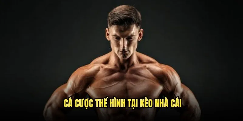 Đặt Cược Thể Hình Mr. Olympia Đỉnh Cao Tại Kèo Nhà Cái 3 Cá Cược Thể Hình Tại Kèo Nhà Cái
