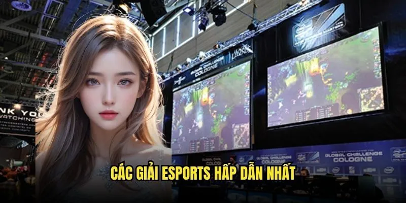 Cá Cược Esports CSGO Và LOL Sôi Động Tại Kèo Nhà Cái 2 Các Giải Esports Hấp Dẫn Nhất
