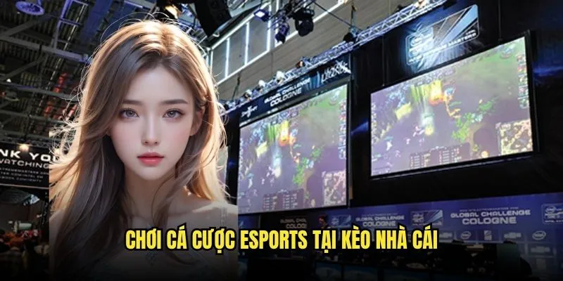 Cá Cược Esports CSGO Và LOL Sôi Động Tại Kèo Nhà Cái 3 Chơi Cá Cược Esports Tại Kèo Nhà Cái