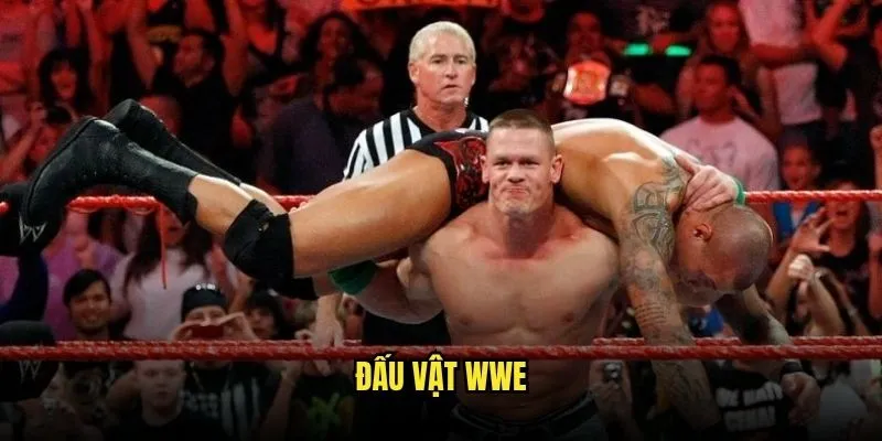 Đấu vật WWE