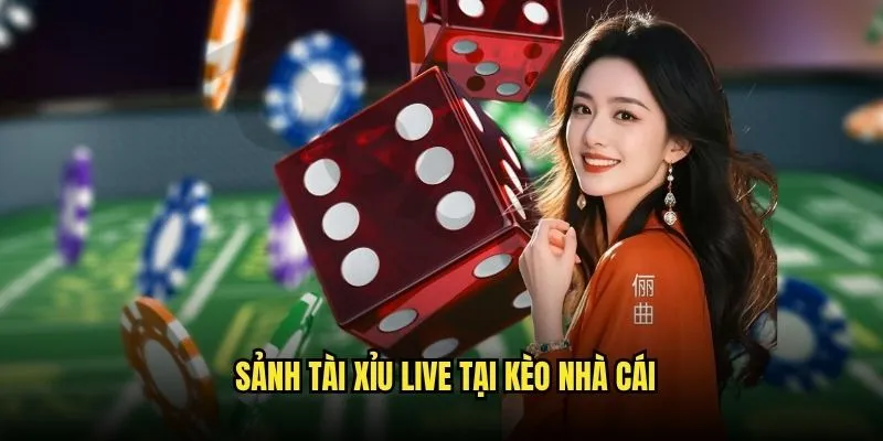 Tài Xỉu Online Siêu Tốc Độ Tại Kèo Nhà Cái 3 Sảnh Tài Xỉu Live Tại Kèo Nhà Cái