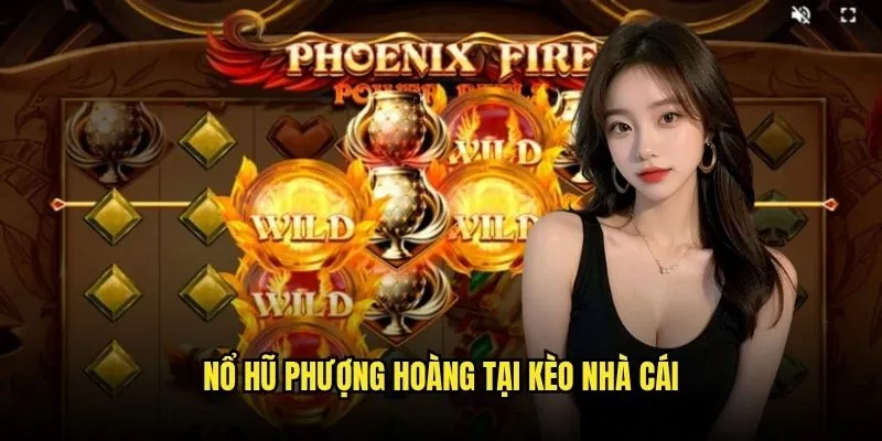 Phượng Hoàng Rực Lửa Tái Sinh May Mắn Tại Kèo Nhà Cái 3 Nổ Hũ Phượng Hoàng Tại Kèo Nhà Cái