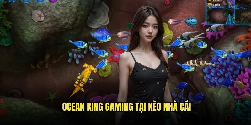 Ocean King Huyền Thoại Săn Đón Nhất Tại Kèo Nhà Cái 3 Ocean King Gaming Tại Kèo Nhà Cái