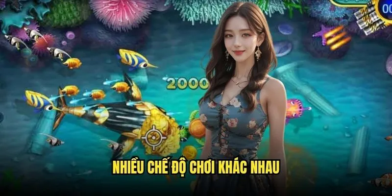 Fish Shooting Game Đa Dạng Phong Phú Tại Kèo Nhà Cái 2 Nhiều chế độ chơi khác nhau