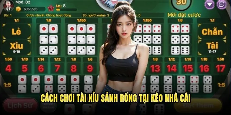 Cách chơi Tài Xỉu Sảnh Rồng tại Kèo Nhà Cái