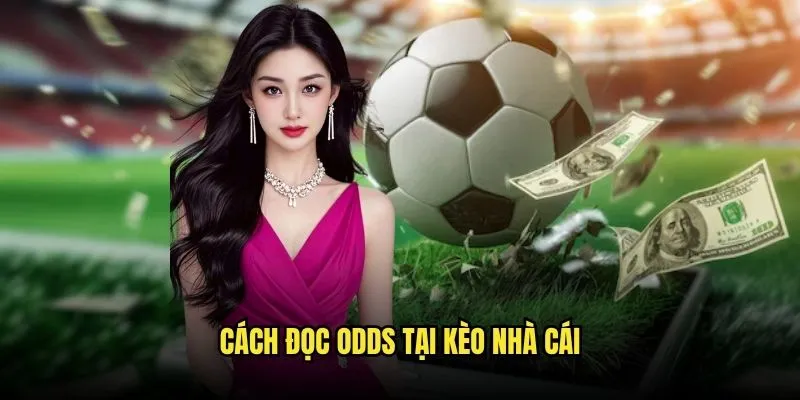 Cách đọc odds tại Kèo Nhà Cái
